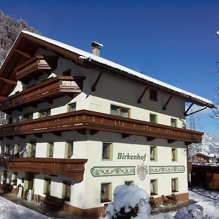 Pension Birkenhof Mayrhofen Kültér fotó